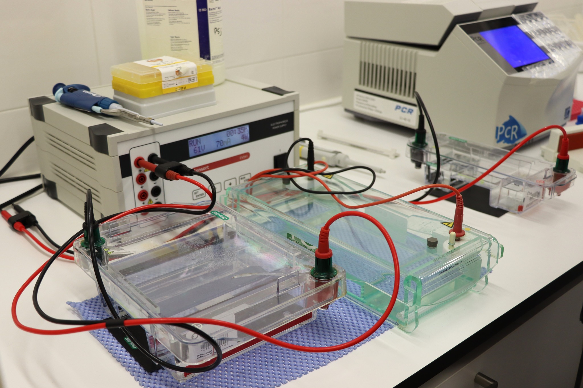 Visitas de estudo aos laboratórios do CETEMARES Visitas de estudo aos laboratórios do CETEMARES